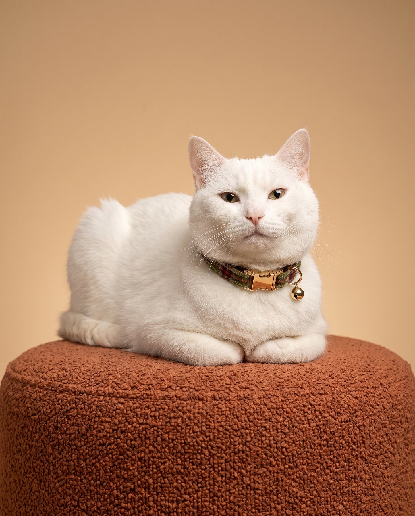 Plaid Cat Collar
