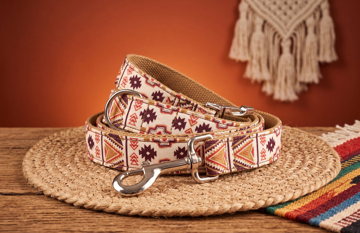 Boho Print Collar, Bow & Leash Set