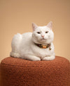 Plaid Cat Collar