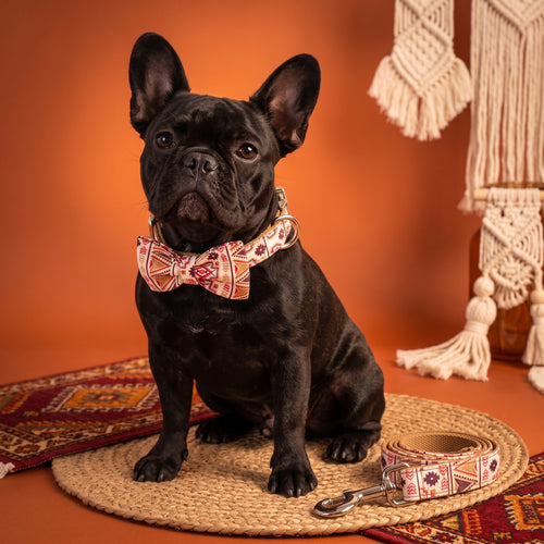 Boho