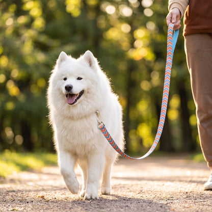 Modern Geometric Dog Leash