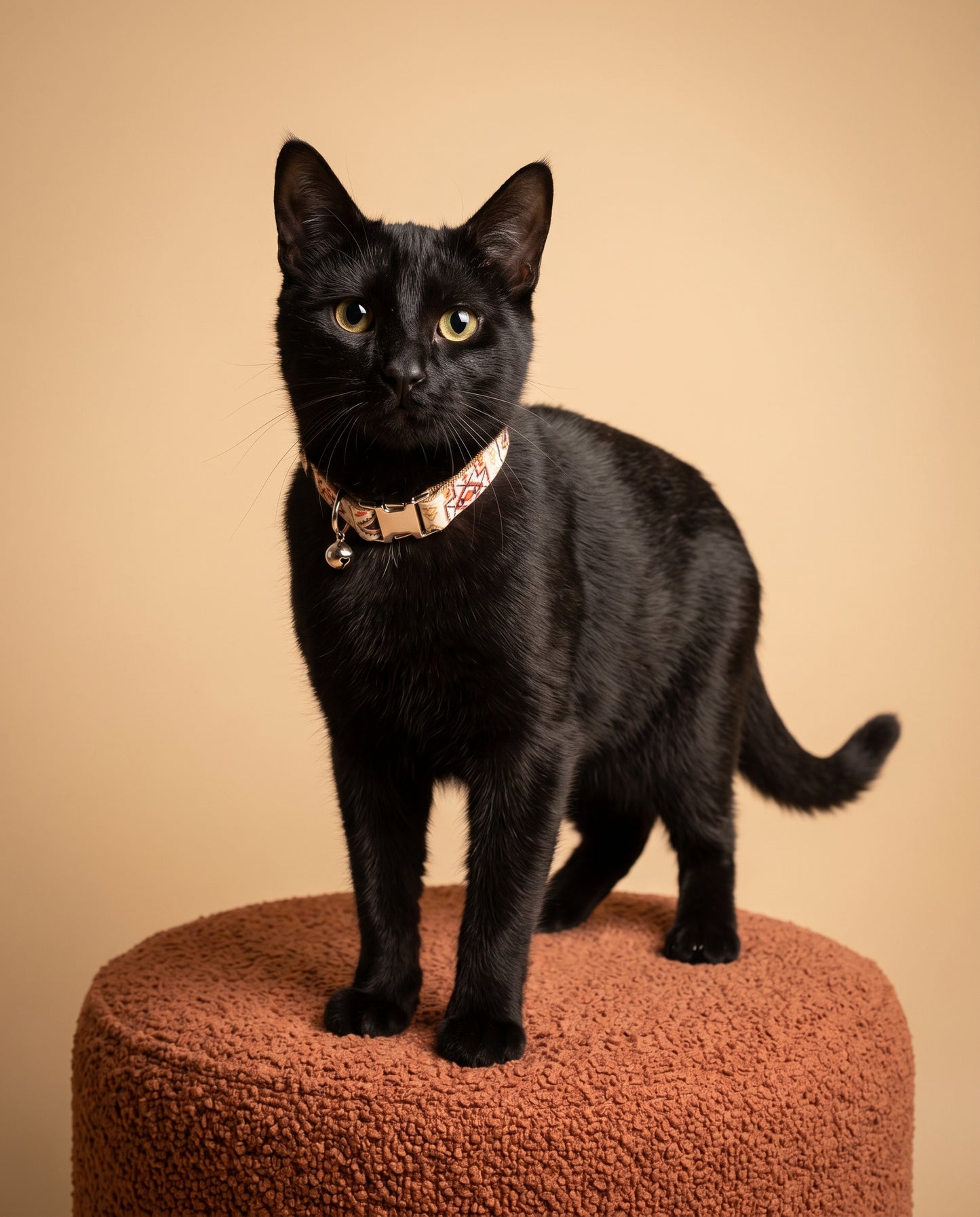 Brown Ethnic Cat Collar