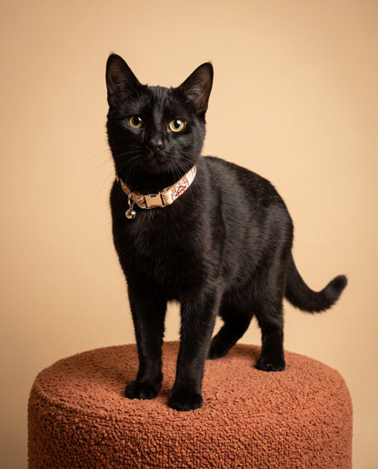 Brown Ethnic Cat Collar