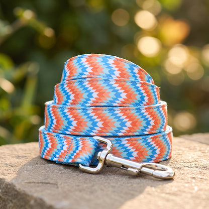 Modern Geometric Dog Leash