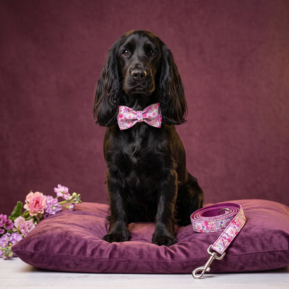 Purple Floral Collar, Bow & Leash Set