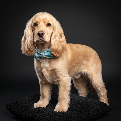 Light Blue Floral Collar & Leash Set